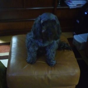 Meet your Posher, Marilyn